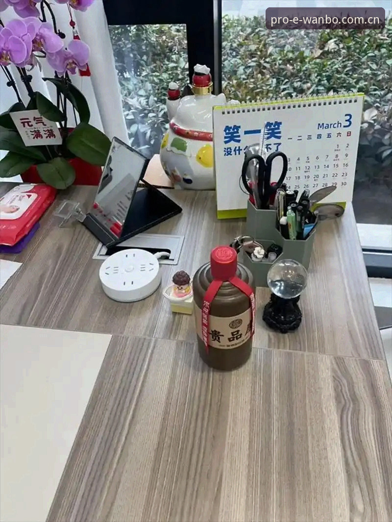 行家都选这一版：万博全站电脑版大版本更新全解读，中国区安装与使用实测记录